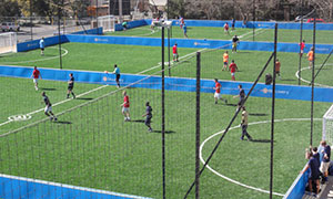 soccer pitches